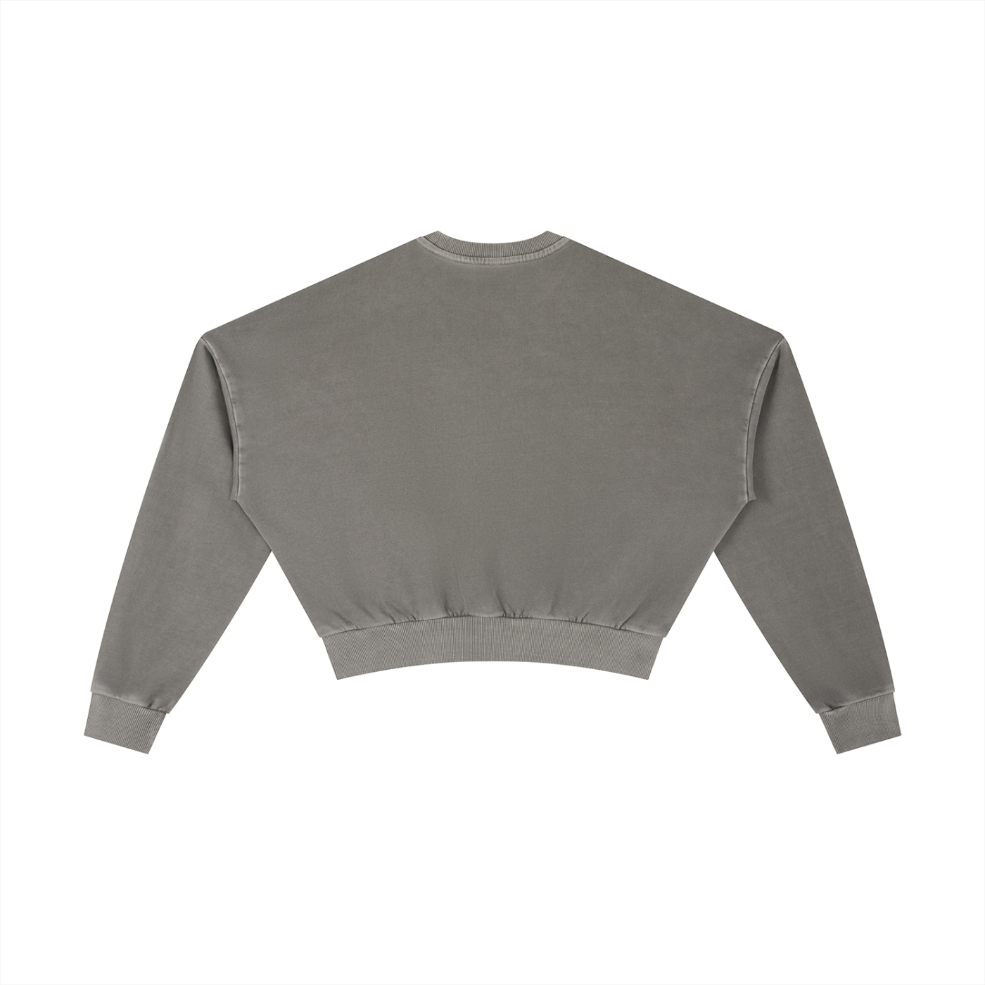 Wade Vintage Cropped Sweatshirt