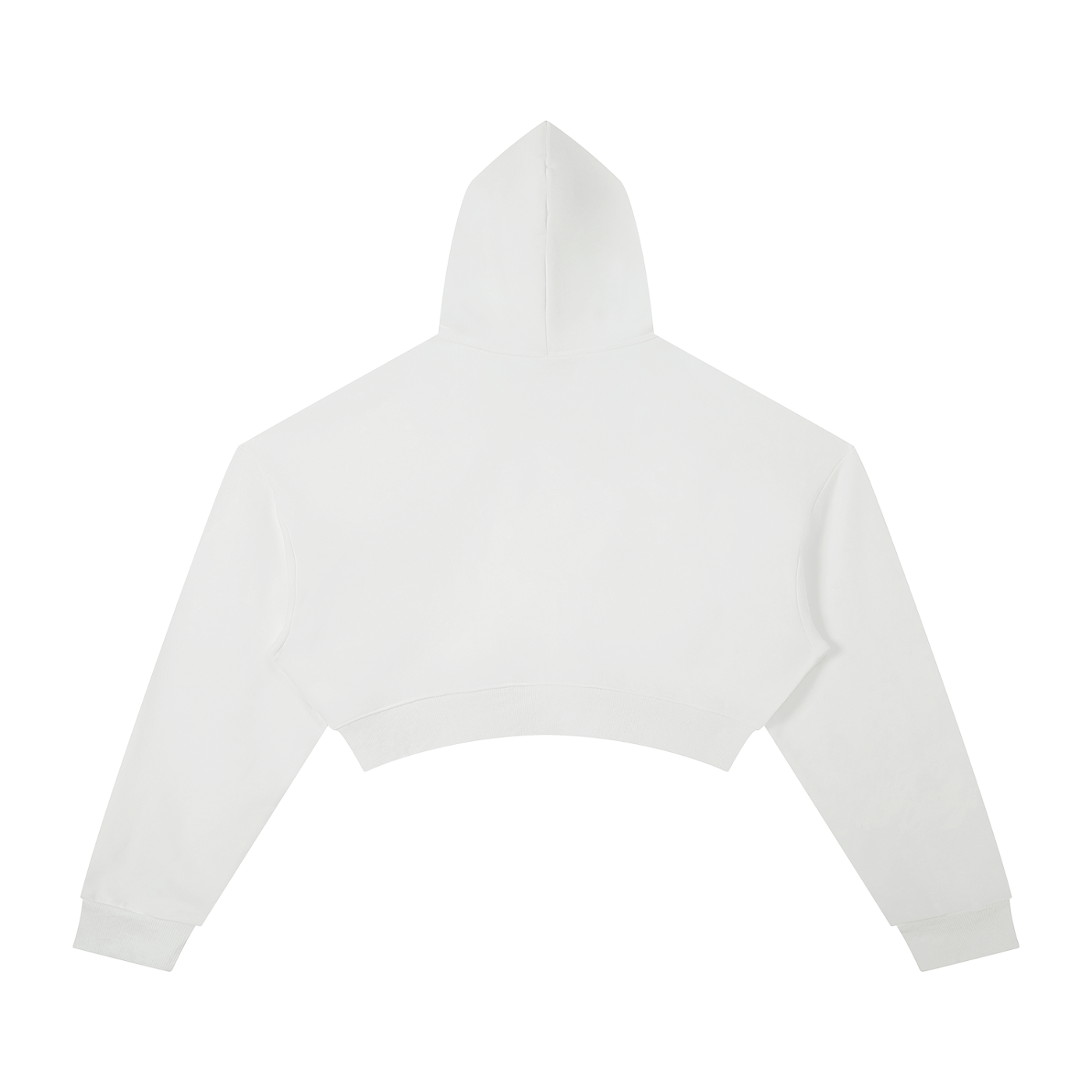 Wade Cropped Hoodie