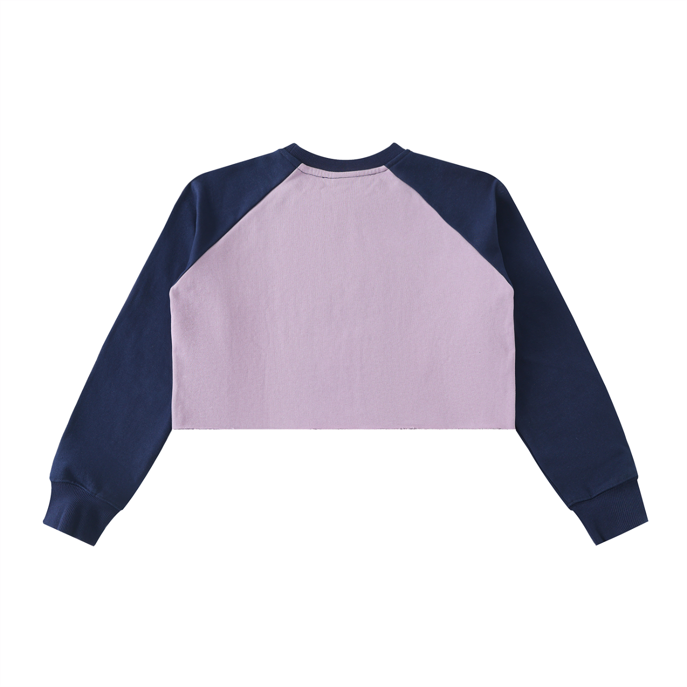 Wade Color-Block Raglan Crop Sweatshirt