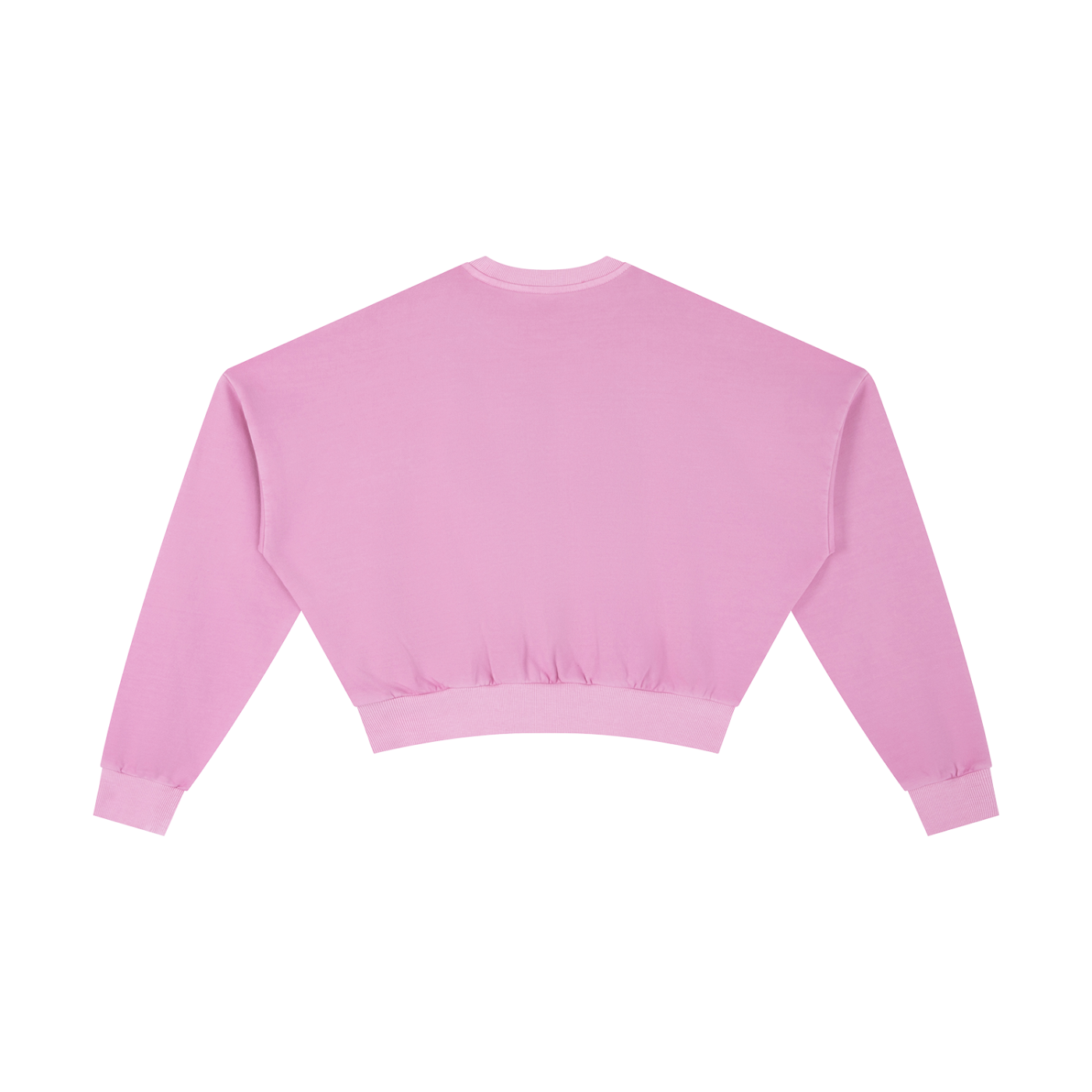 Wade Vintage Cropped Sweatshirt