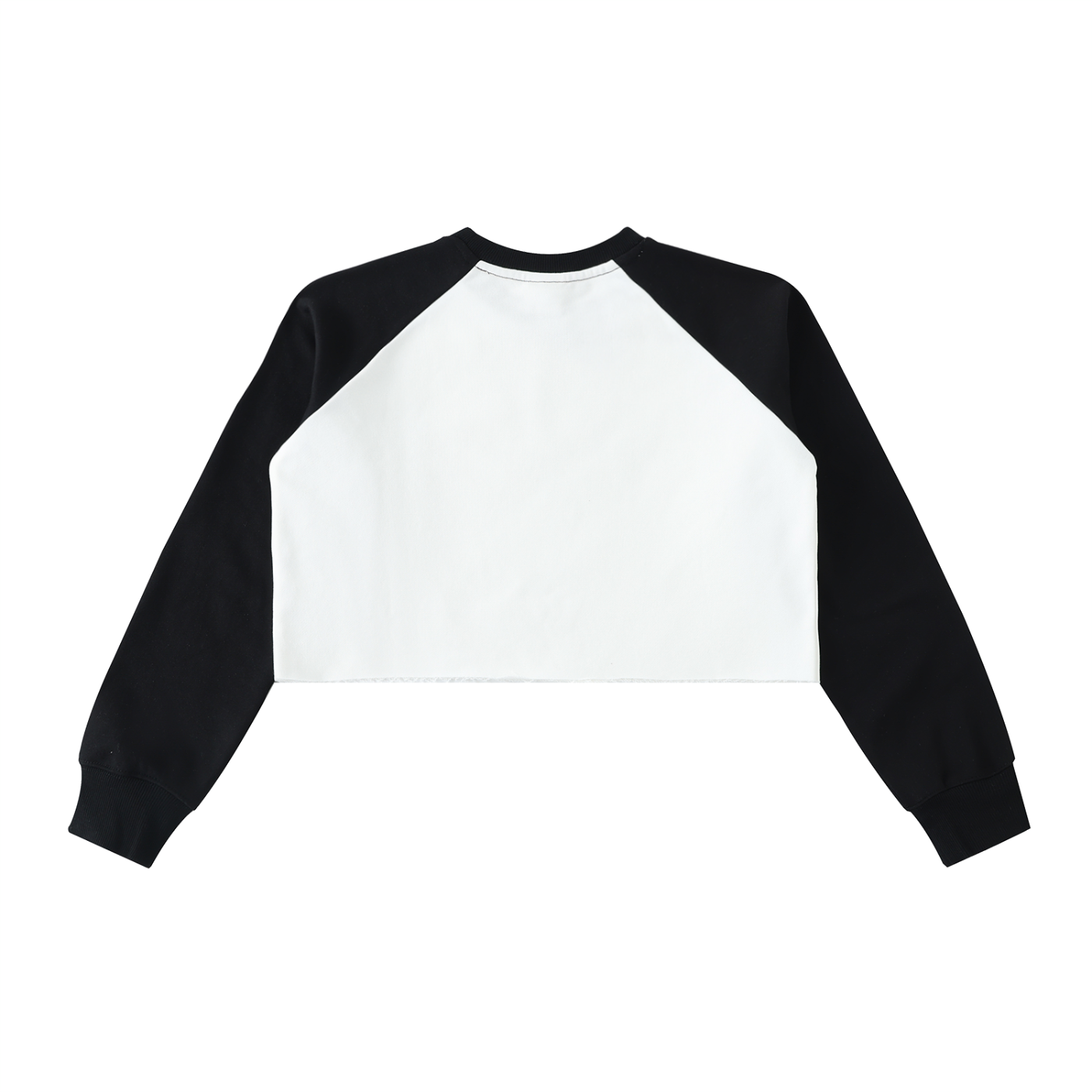 Wade Color-Block Raglan Crop Sweatshirt
