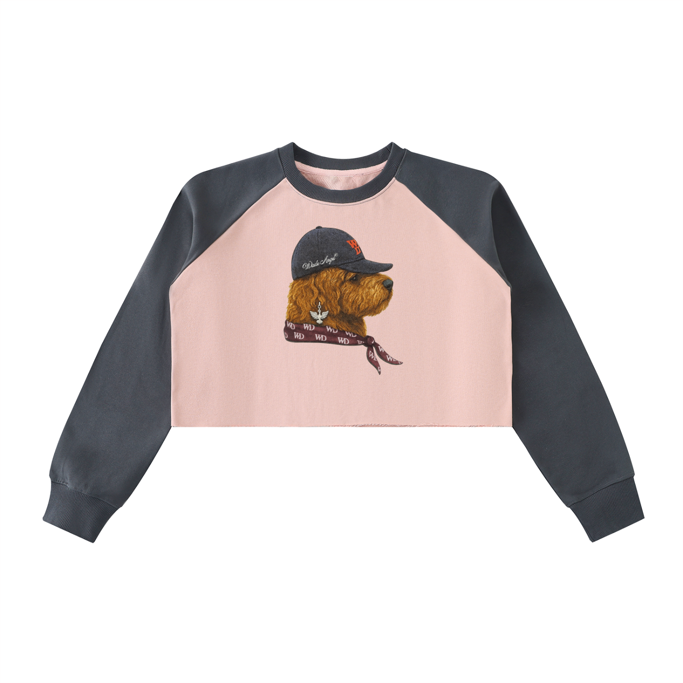 Wade Color-Block Raglan Crop Sweatshirt