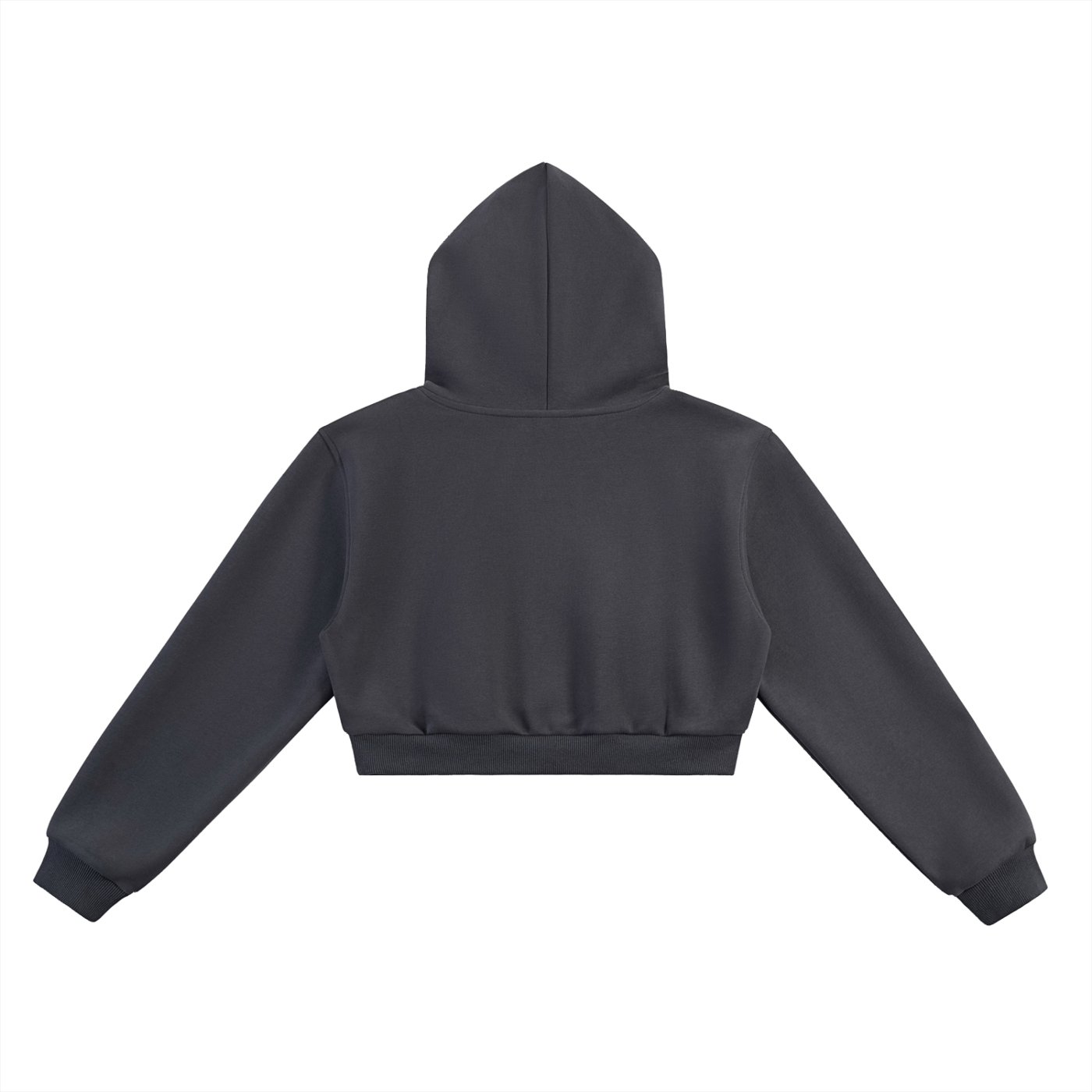 Wade Cropped Hoodie