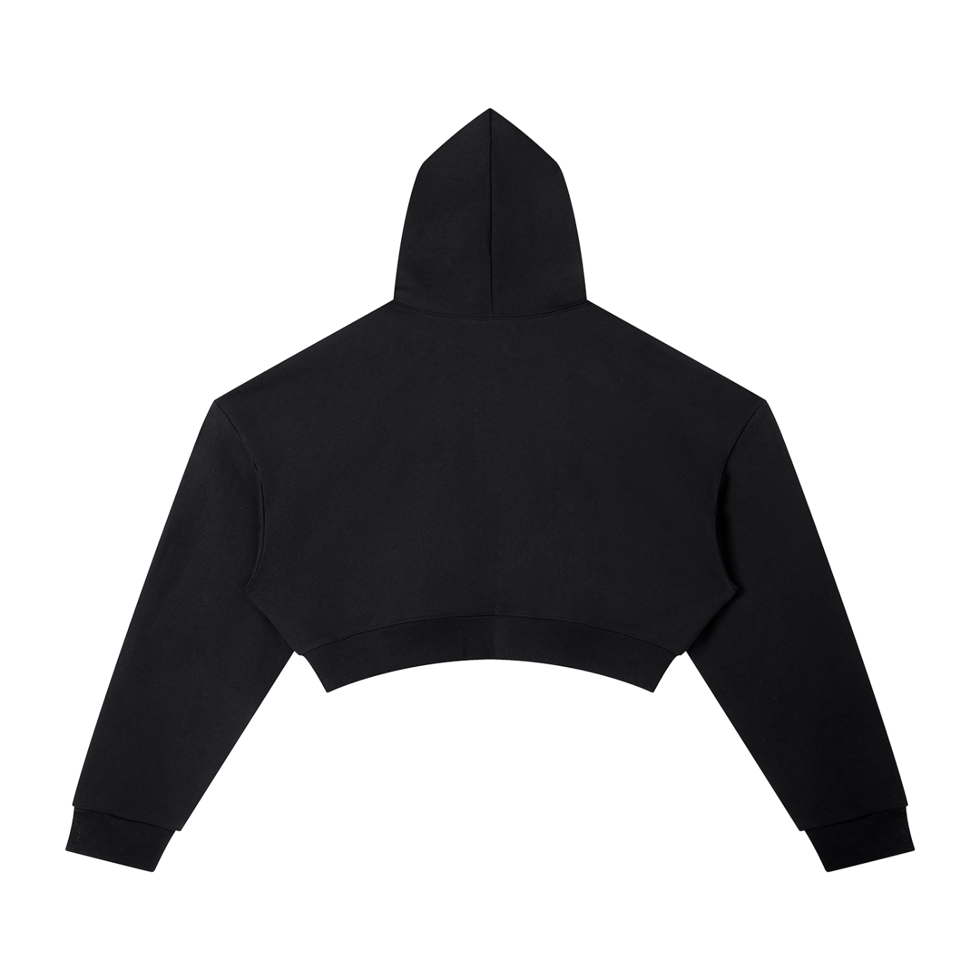 Wade Cropped Hoodie