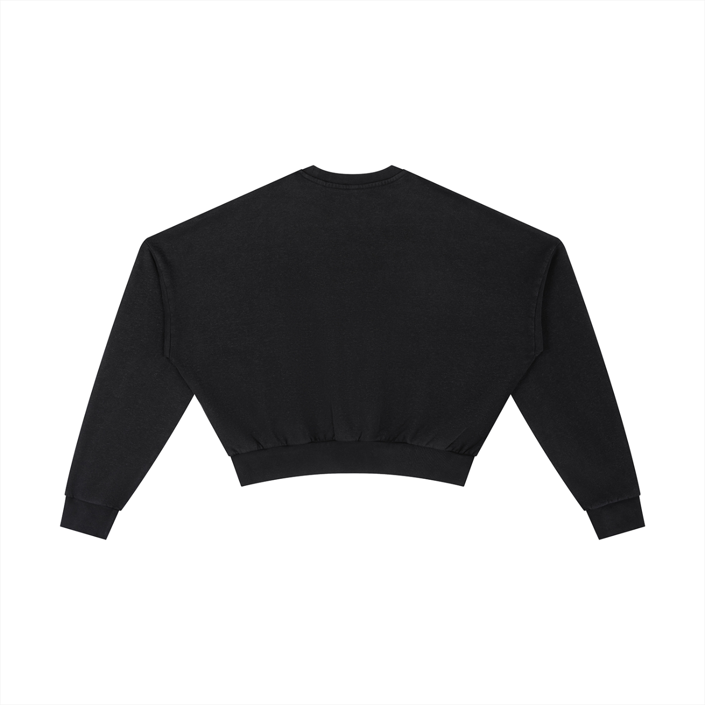 Wade Vintage Cropped Sweatshirt