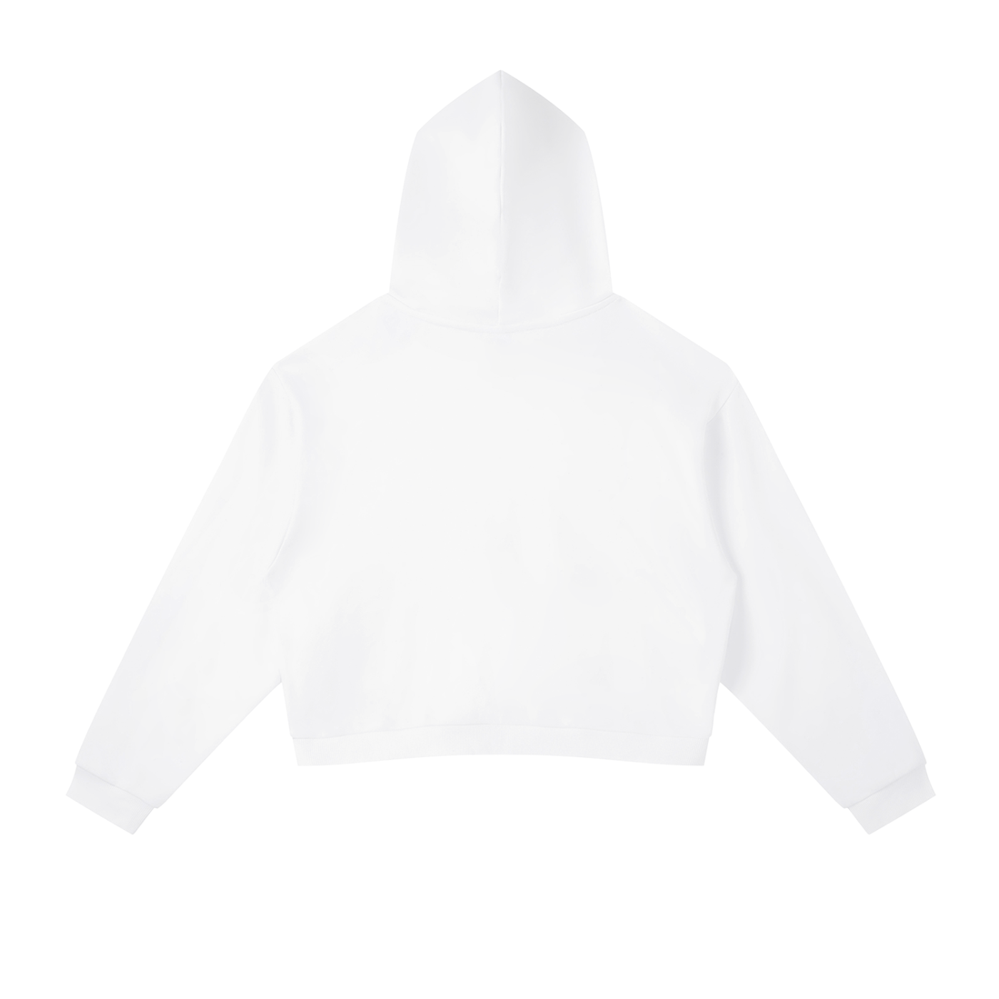 Wade Side Stripe Cropped Hoodie