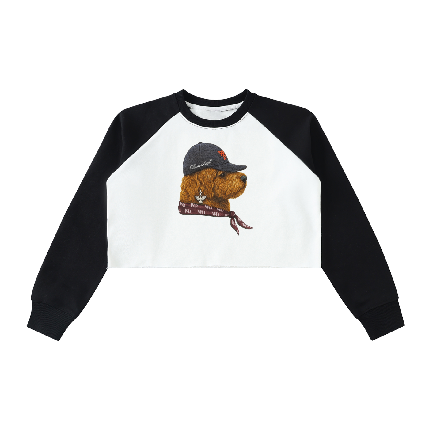 Wade Color-Block Raglan Crop Sweatshirt