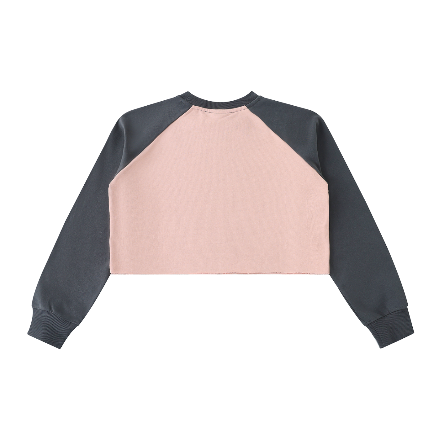 Wade Color-Block Raglan Crop Sweatshirt