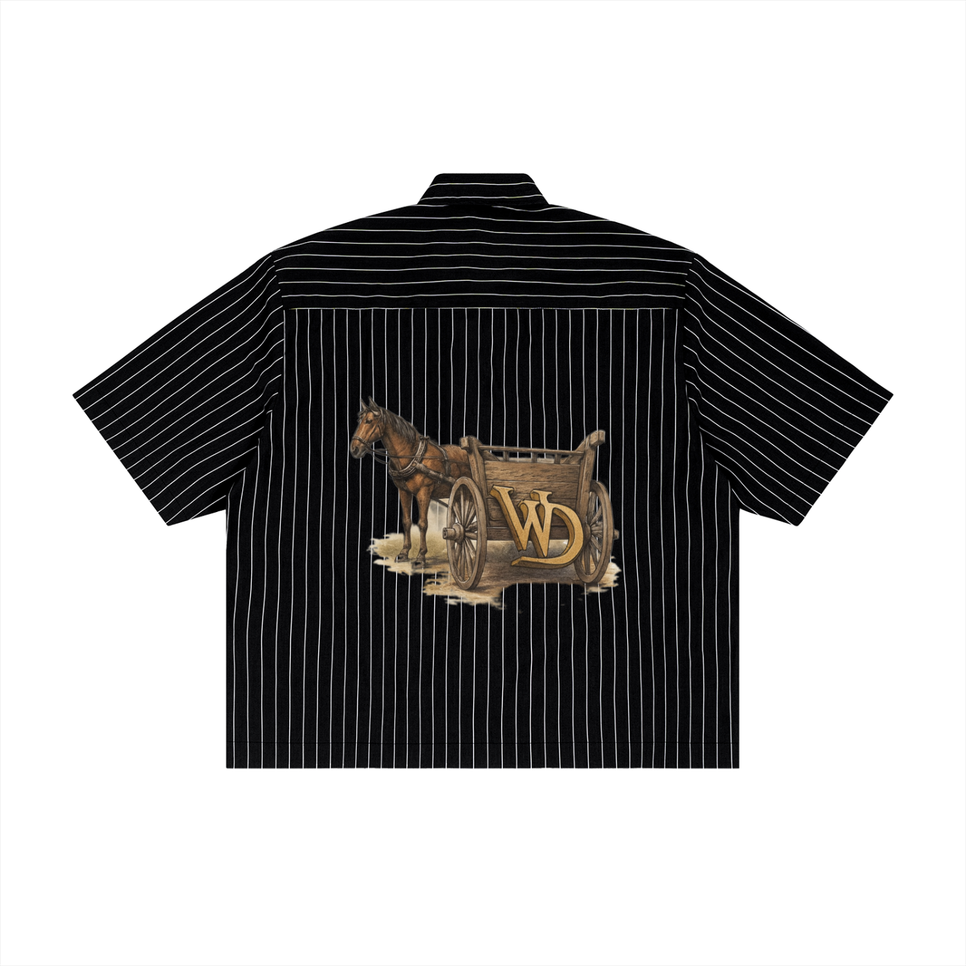 Striped Button-Up Shirt (Boxy Fit)